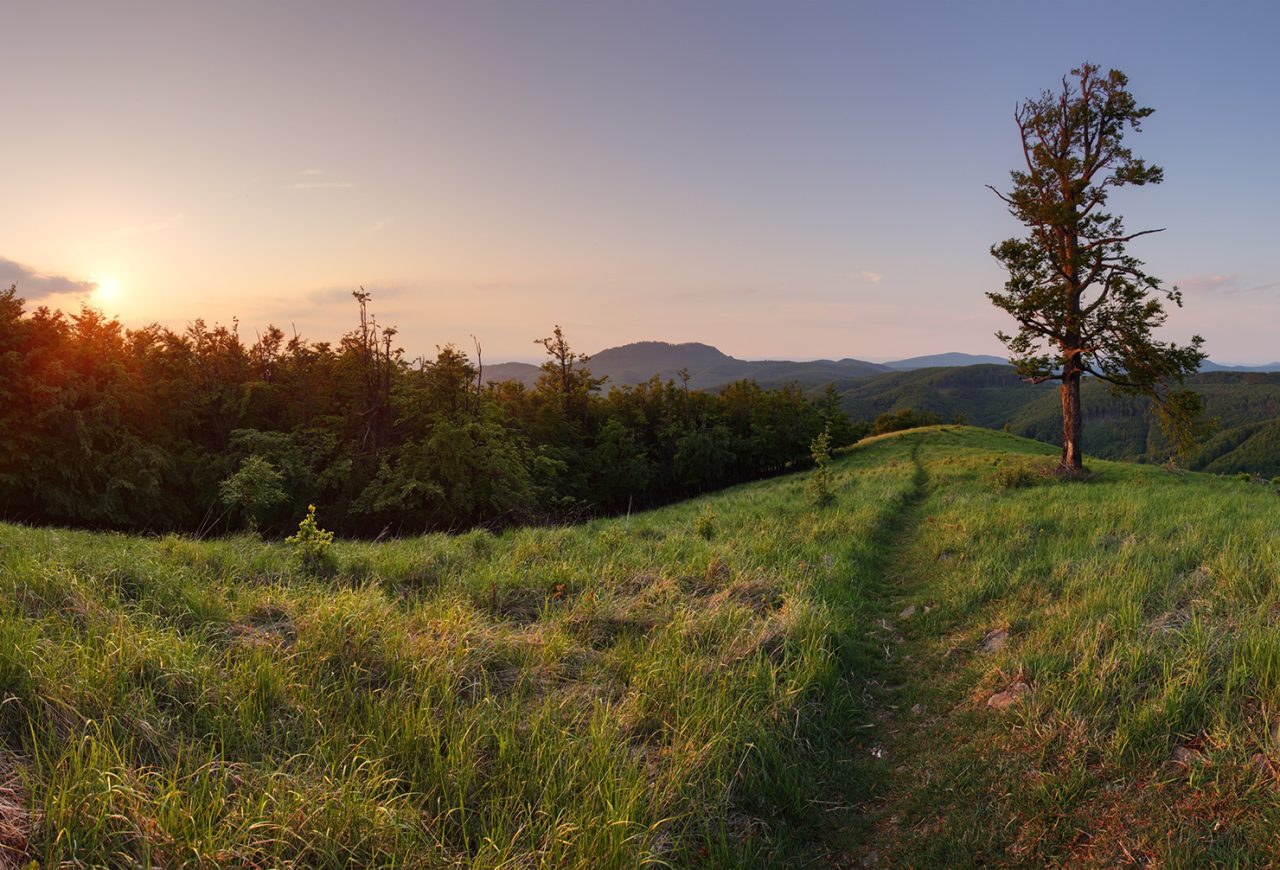 4 tipy na jesennú turistiku v okolí Bratislavy