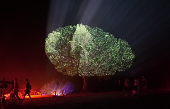 Biela noc 2023 prinesie do ulíc Bratislavy 45 diel od svetových umelcov
