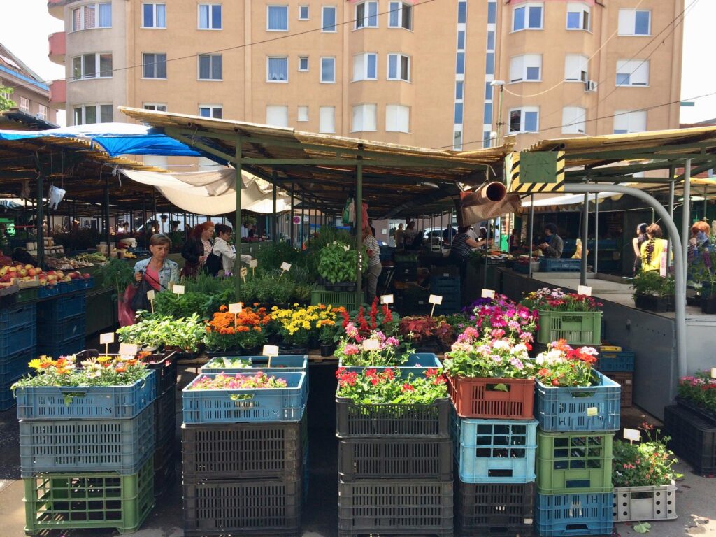 Bratislavské tržnice: Kde nájdete čerstvú zeleninu, ovocie či kvety?