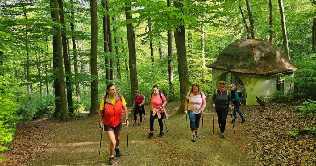 Nordic walking je liek, nie turistika. 6 tipov na trasy od ľahkých po náročné