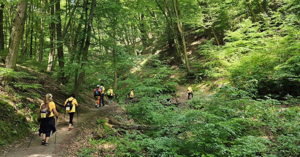 Nordic walking je liek, nie turistika. 6 tipov na trasy od ľahkých po náročné