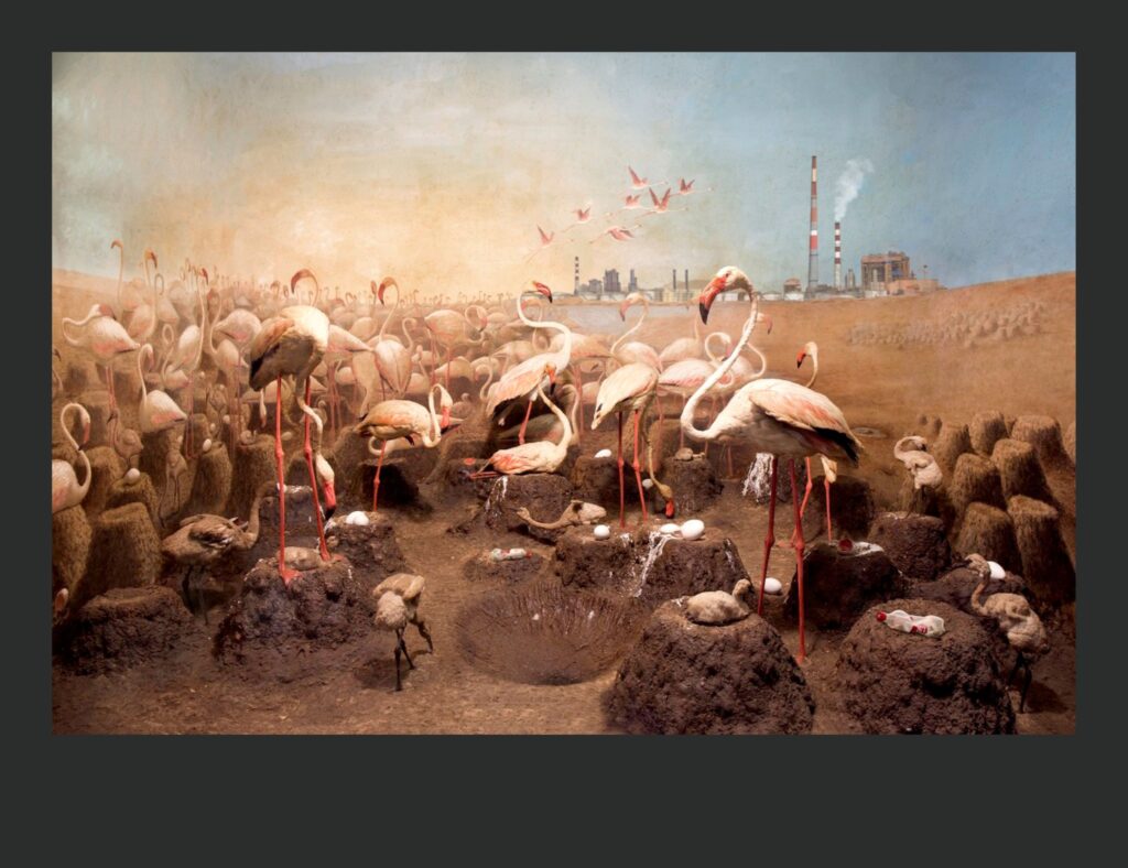 Mesiac fotografie 2025: Bratislavu po roku opäť možno nazvať galériou svetových autorov